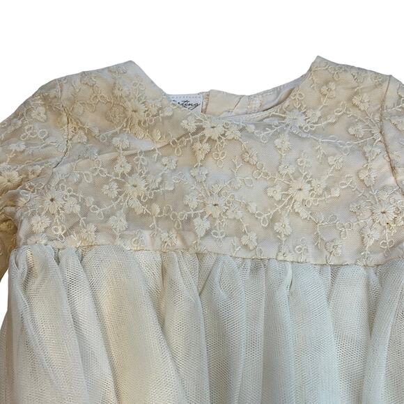 Starting Out Ivory Dress w/ Lace & Tulle Details, Size 9MO, NWT! - Picture 3 of 4